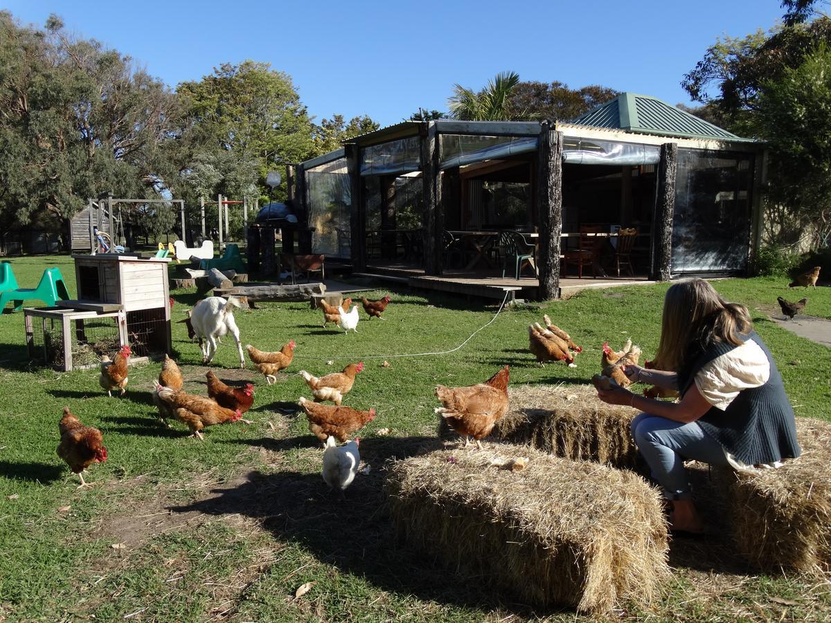 Ventnor Ripples N Tonic Farmstay מראה חיצוני תמונה